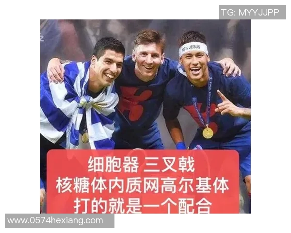 当粉丝邂逅足球明星爱情的奇妙旅程与挑战