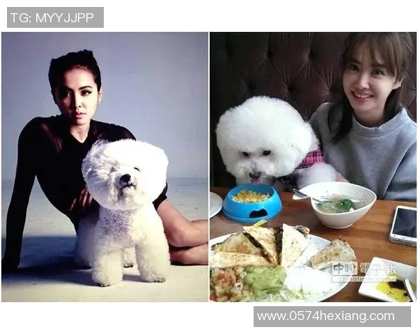 带狗的足球明星是谁揭秘他们的宠物生活与训练趣事