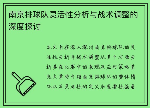 南京排球队灵活性分析与战术调整的深度探讨