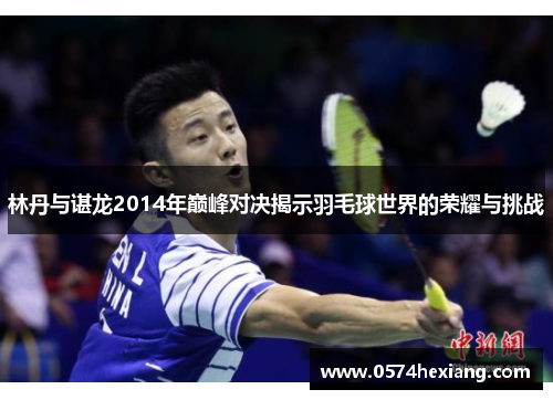 林丹与谌龙2014年巅峰对决揭示羽毛球世界的荣耀与挑战
